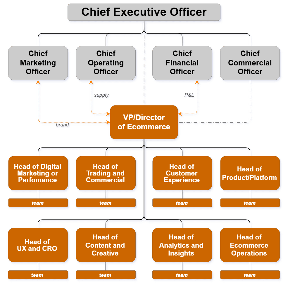 Ecommerce team structure for an enterprise business: a VP/Director of Ecommerce reporting into the C-suite, with eight Heads — Digital Marketing, Trading, Customer Experience, Product/Platform, UX and CRO, Content, Analytics and Operations — each leading their own team